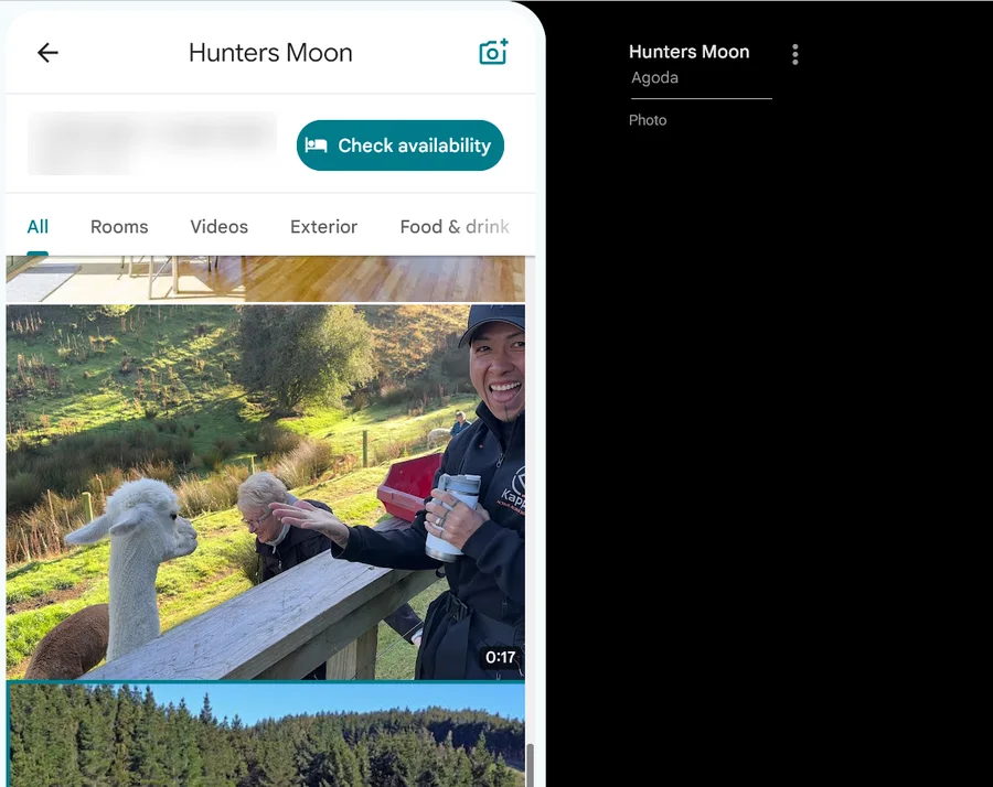 Hunters Moon Dunedin Google profile with a short video of guests meeting alpacas