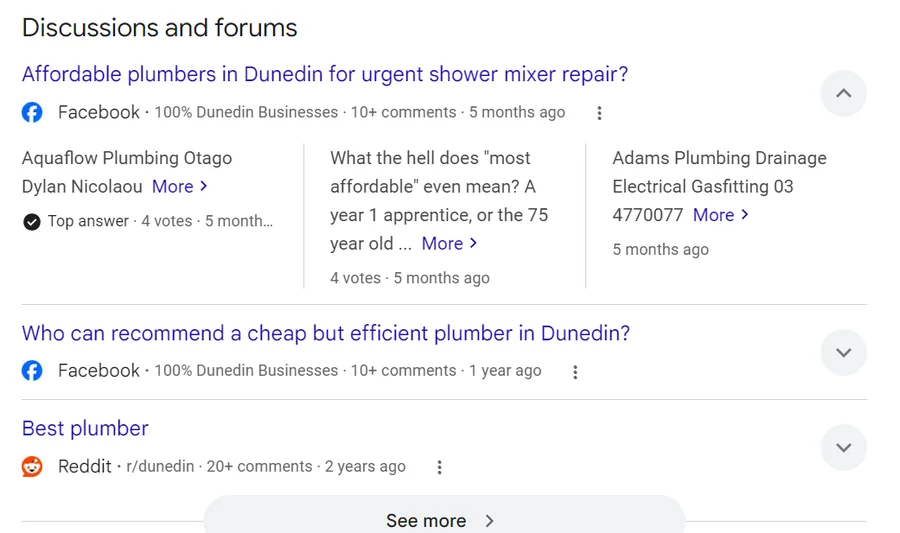 Google Discussions and forums block with Facebook and Reddit threads recommending plumbers in Dunedin