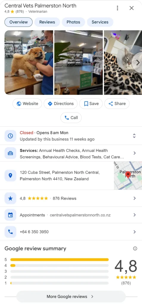 Central Vets Palmerston North Google profile with a 4.8 rating from 876 reviews at 120 Cuba Street