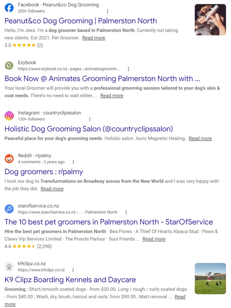 Google organic results for dog grooming Palmerston North including Facebook, Instagram, Reddit and a national directory