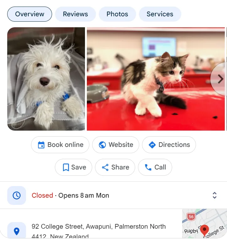 The Vet (Malcolm Anderson) Google profile with Book online, Website and Directions buttons and a College Street address in Awapuni
